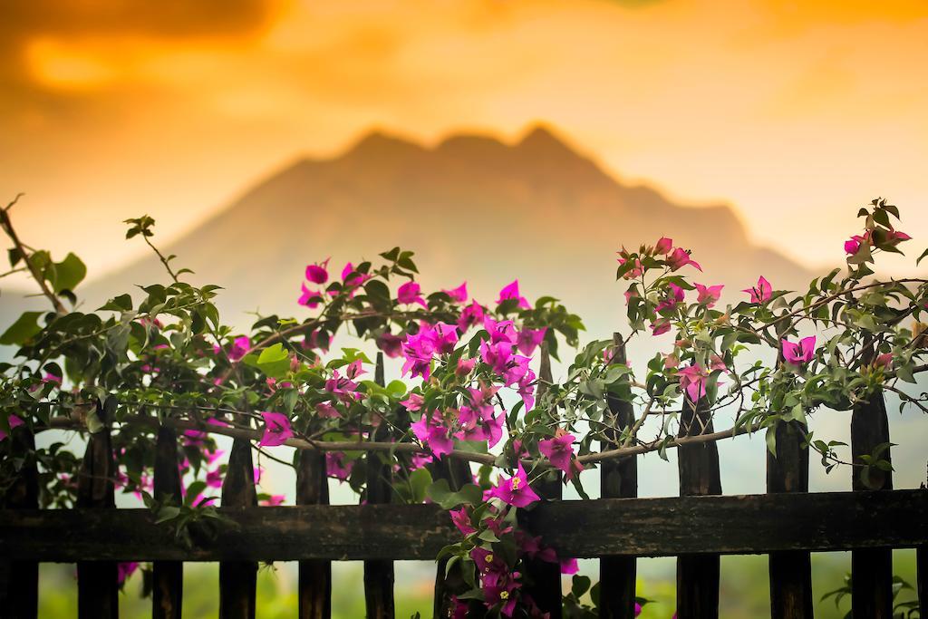 Casa Madre Tierra Otel Vilcabamba Dış mekan fotoğraf