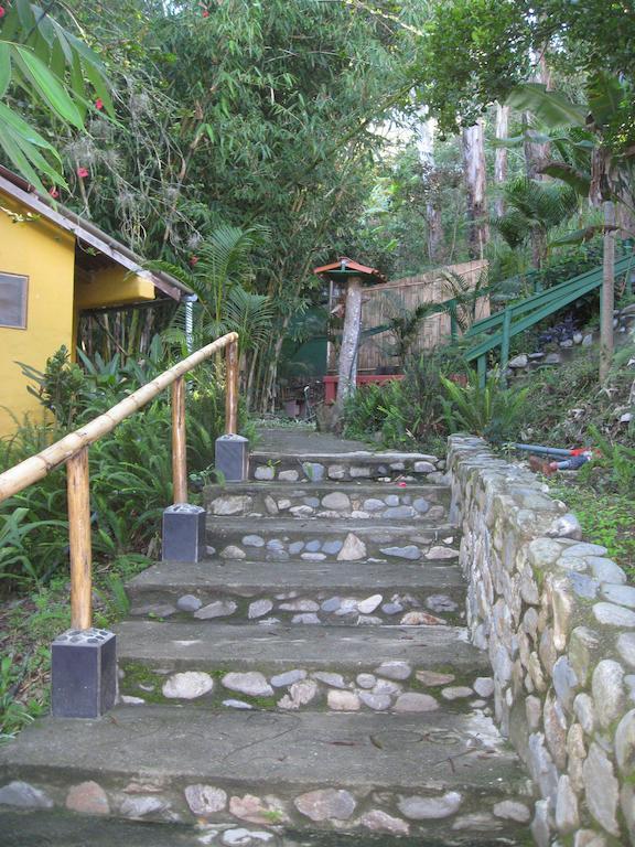 Casa Madre Tierra Otel Vilcabamba Dış mekan fotoğraf