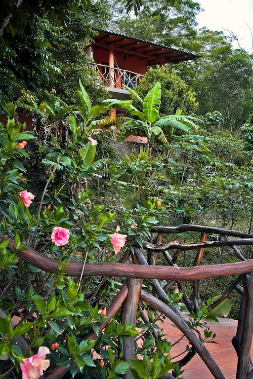 Casa Madre Tierra Otel Vilcabamba Dış mekan fotoğraf